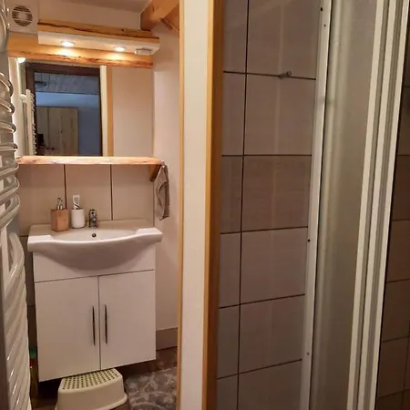 Spicak - U Barabu Apartment Zelezna Ruda Exterior photo