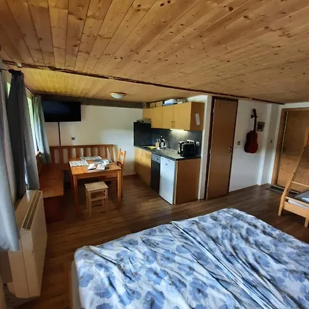 Spicak - U Barabu Apartment Zelezna Ruda Exterior photo